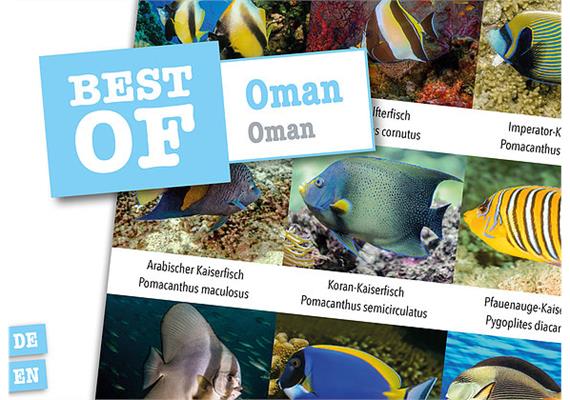 Dive-Sticker (8 Bogen mit total 96 Selbstklebe-Bildern inkl. ID in deutsch/lateinisch) - Oman