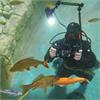 Fotokurs im Wasser: Einsatz von künstlichem Licht (Blitz / Lampe) - Samstag, 20. Juni 2026