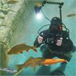 Fotokurs im Wasser: Einsatz von künstlichem Licht (Blitz / Lampe) | Bild 6