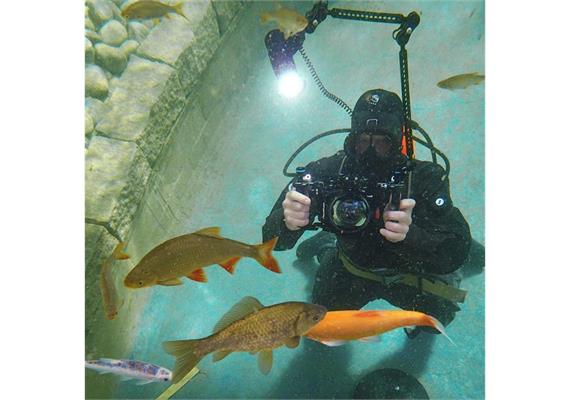 Fotokurs im Wasser: Einsatz von künstlichem Licht (Blitz / Lampe)