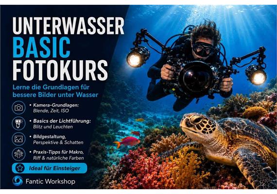 Fotokurs im Wasser: Unterwasser-Fotografie Grundkurs