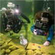 Fotokurs im Wasser: Unterwasser-Fotografie Grundkurs | Bild 5