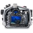 Ikelite 200DL Unterwassergehäuse für Nikon D780 (ohne Port) | Bild 2