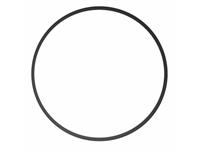 Ikelite Haupt O-Ring für diverse Ikelite Kompakt-Gehäuse (large)