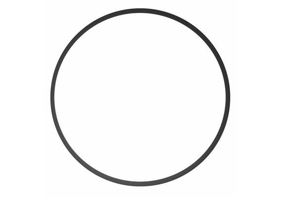 Ikelite Haupt O-Ring für diverse Ikelite Kompakt-Gehäuse (large)