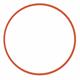 Ikelite Haupt O-Ring für diverse Kompakt-Gehäuse (small)