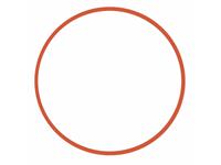 Ikelite Haupt O-Ring für diverse Kompakt-Gehäuse (small)