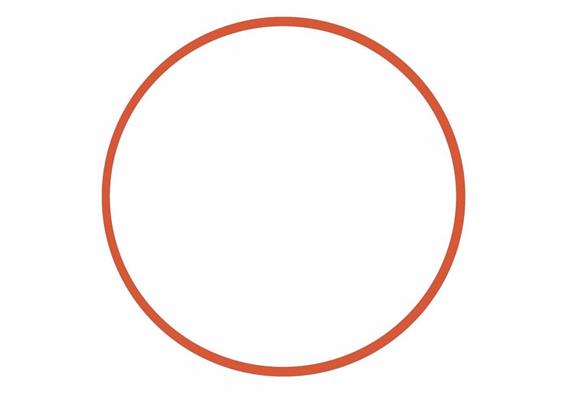 Ikelite Haupt O-Ring für diverse Kompakt-Gehäuse (small)