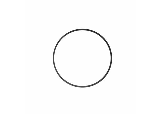 Ikelite O-Ring für Ikelite Flat Port 9305.94