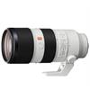 Sony E-Mount FF 70-200mm GM F2.8 OSS