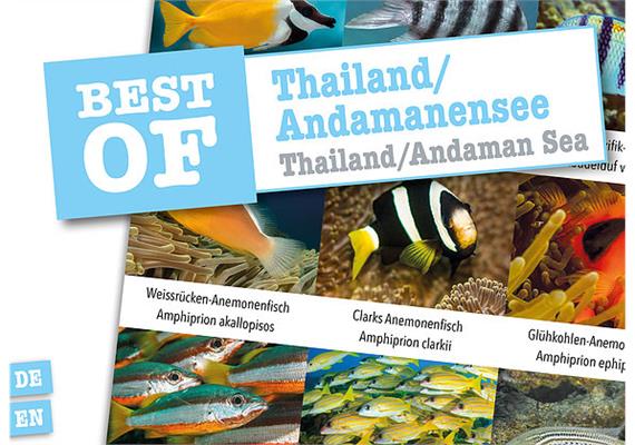 Dive-Sticker (8 Bogen mit total 96 Selbstklebe-Bildern inkl. ID in deutsch/lateinisch) - Thailand/Andamanensee