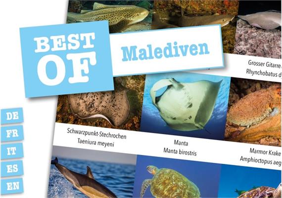 Dive-Sticker (8 Bogen mit total 96 Selbstklebe-Bildern inkl. ID in deutsch/lateinisch) - Malediven