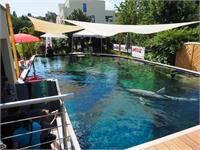 Fotokurs im Wasser: Basic-Kombo UW-Foto Grundkurs + Licht - Sonntag, 5. Juli 2026