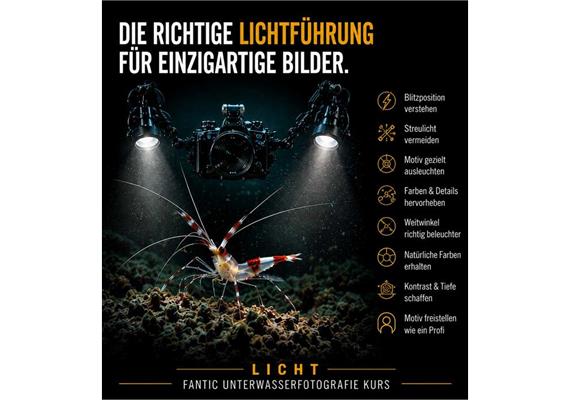 Fotokurs im Wasser: Einsatz von künstlichem Licht (Blitz / Lampe - Samstag, 20. Juni 2026