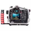 Ikelite 200DL underwater housing for Canon EOS 5DIII / 5DIV / 5DS / 5DSR (without port) | Bild 2