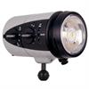 Ikelite DS232 213Ws TTL Underwater Strobe / Video-Light (NiMH) EU, with 1" ball mount