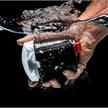 Inon Ecko DS Underwater Strobe (Electrical Bulkhead) | Bild 6