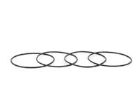 Isotta O-ring set for RED64 flash