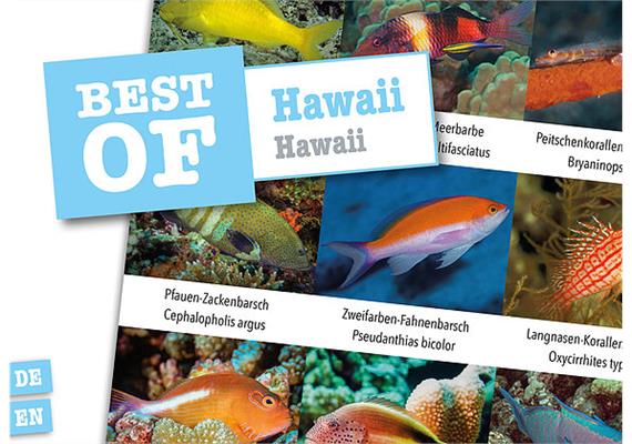 Dive-Sticker (8 Bogen mit total 96 Selbstklebe-Bildern inkl. ID in deutsch/lateinisch) - Hawaii