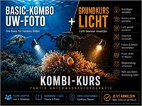 Fotokurs im Wasser: Basic-Kombo UW-Foto Grundkurs + Licht