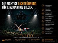 Fotokurs im Wasser: Einsatz von künstlichem Licht (Blitz / Lampe - Samstag, 20. Juni 2026