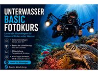 Fotokurs im Wasser: Unterwasser-Fotografie Grundkurs