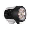 Ikelite DS230 Strobe Front (without Battery)