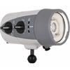 Ikelite underwater strobe DS160 II (NiMH) EU with 1" ball mount