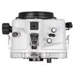 Custodia subacquea Ikelite 200DL per Canon EOS 800D Rebel T7i, Kiss X9i (senza oblò) | Bild 4