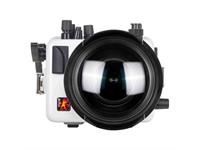 Custodia subacquea Ikelite per Canon EOS R8 (senza oblò)