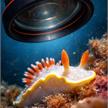 Fantic Protezione frontale per Nauticam MFO-3 / MFO-3 II | Bild 4