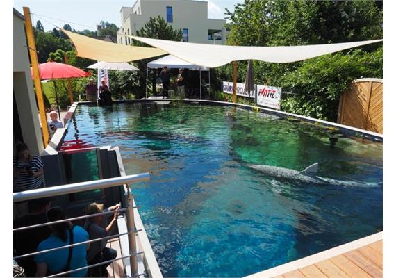 Fotokurs im Wasser: Basic-Kombo UW-Foto Grundkurs + Licht - Sonntag, 6. September 2026