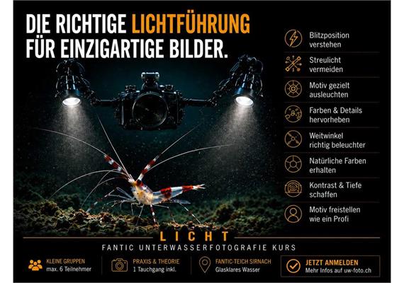 Fotokurs im Wasser: Einsatz von künstlichem Licht (Blitz / Lampe