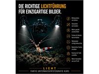 Fotokurs im Wasser: Einsatz von künstlichem Licht (Blitz / Lampe