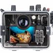 Ikelite 200DLM/A Custodia subacquea per Olympus OM-D E-M10 III (senza oblò) | Bild 2