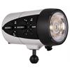 Ikelite DS230 213Ws TTL flash subacqueo (NiMH) EU con luce di messa a fuoco incl. 1" sfera