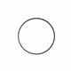 Ikelite O-Ring for Ikelite Flat Port 9305.94