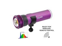 Keldan Video Light 8XR 20000lm CRI86