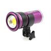 LOCAZIONE: Keldan compact video light Video 4X FLUX (senza filtr - 1 Woche