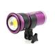 LOCAZIONE: Keldan compact video light Video 4X FLUX (senza filtr - 3 Wochen