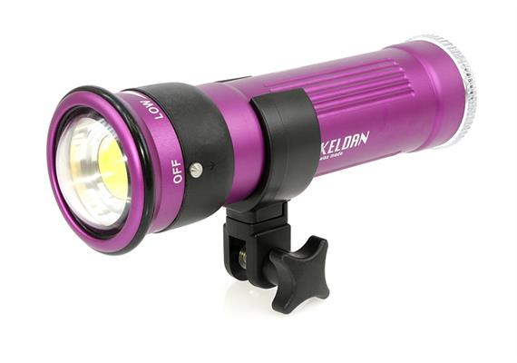 LOCAZIONE: Keldan compact video light Video 8X FLUX (senza filtr - 1 Woche