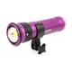 LOCAZIONE: Keldan compact video light Video 8X FLUX (senza filtr - 2 Wochen