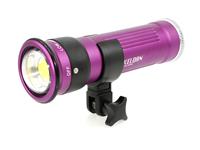 LOCAZIONE: Keldan compact video light Video 8X FLUX (senza filtr - 2 Wochen