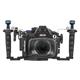 Nauticam Custodia subacquea NA-L10 Pro Package per Panasonic Lumix L10 (con vari accessori