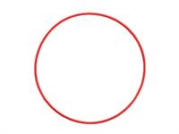 OM System o-ring POL-058 per custodia subacquea Olympus PT-058 / PT-059