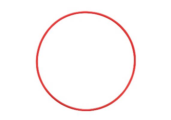 OM System o-ring POL-058 per custodia subacquea Olympus PT-058 / PT-059